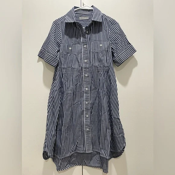 Everlane Daytripped Blue Pinstripe Button Up Shirt Dress - Picture 6 of 11